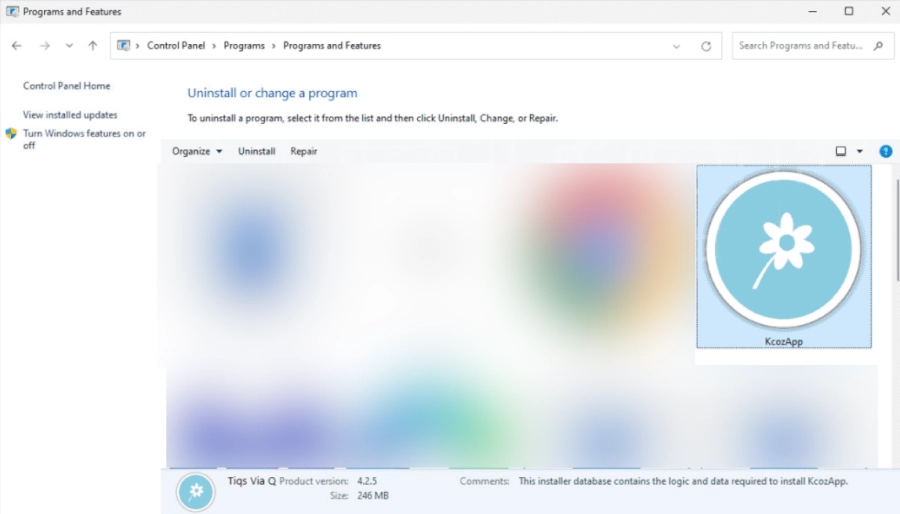 How to remove KcozApp BugsFighter